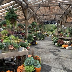 Shakespeare's Garden - Fall 2024 display