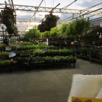 Walmart - Plants!!!! - Department Stores Near Me - Westbury, New York Walmart - Plants!!!! - Department Stores Near Me - Westbury, New York