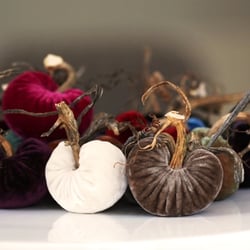 ArtQuest Gallery - Plush Pumpkins by Monya
