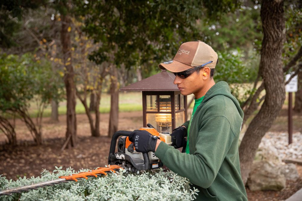 Top Choice Lawn Care - tree service in Austin, TX