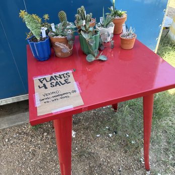 Summer Moon Coffee Trailer - Plants for sale! - Coffee & Tea Near Me - Austin, Texas