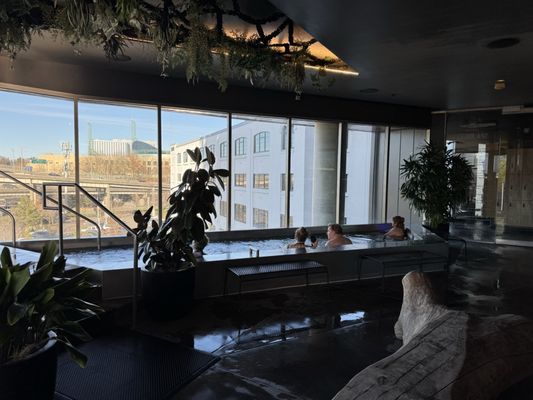 Knot Springs by null