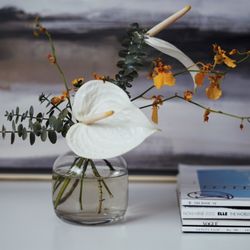 Paiko - Totally fit our minimalist aesthetic.