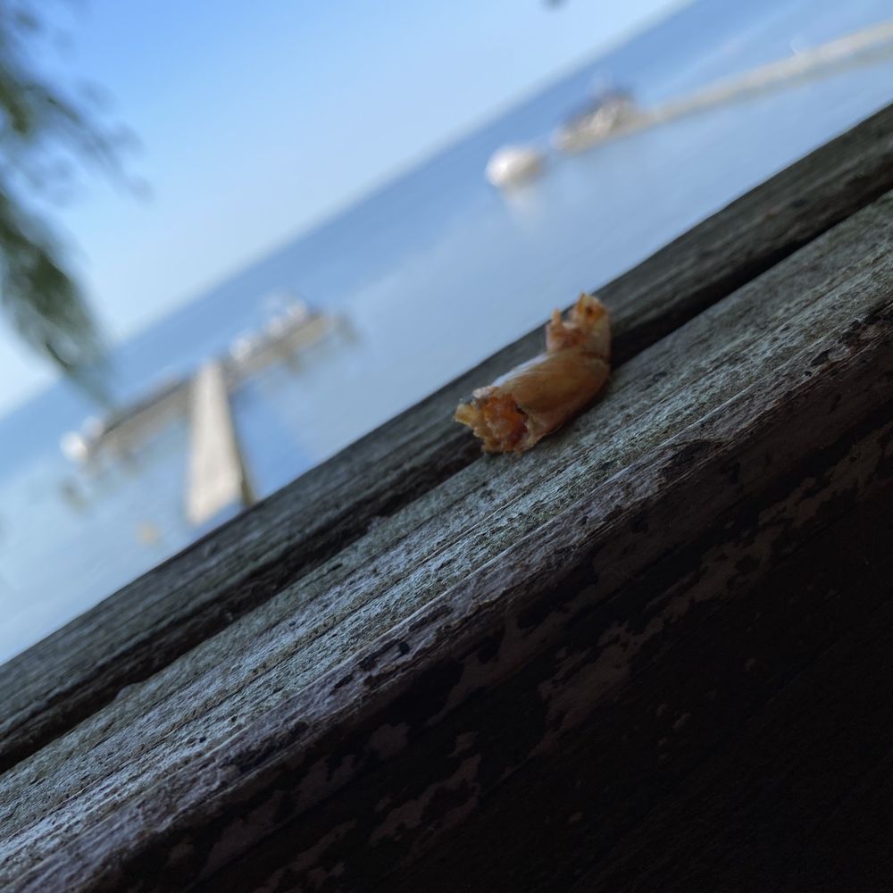 The Limberlost - Shrimp on the railing next to our table! - Bars Near Me - Houghton Lake, Michigan The Limberlost - Shrimp on the railing next to our table! - Bars Near Me - Houghton Lake, Michigan