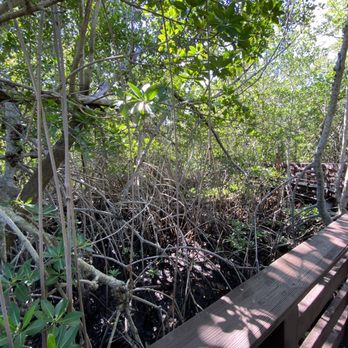 Colohatchee Park - Parks Near Me - Wilton Manors, Florida Colohatchee Park - Parks Near Me - Wilton Manors, Florida