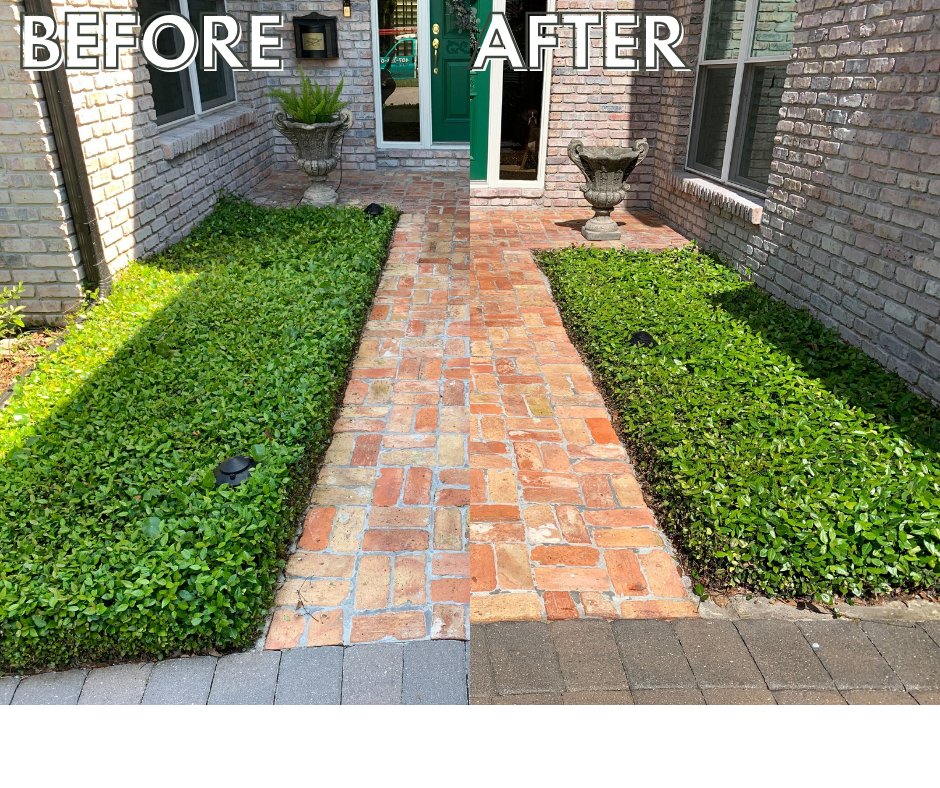 Slide of Perfect Pear