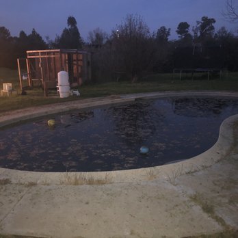 Payan Pool Service, Inc. - We didn't even like to look at it - Pool Cleaners Near Me - Santee, California Payan Pool Service, Inc. - We didn't even like to look at it - Pool Cleaners Near Me - Santee, California