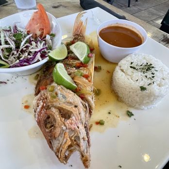 Villa Verde - Red Snapper - Dominican Near Me - Greenville, North Carolina Villa Verde - Red Snapper - Dominican Near Me - Greenville, North Carolina