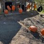 Photo of Vulture Mine Preservation & Restoration