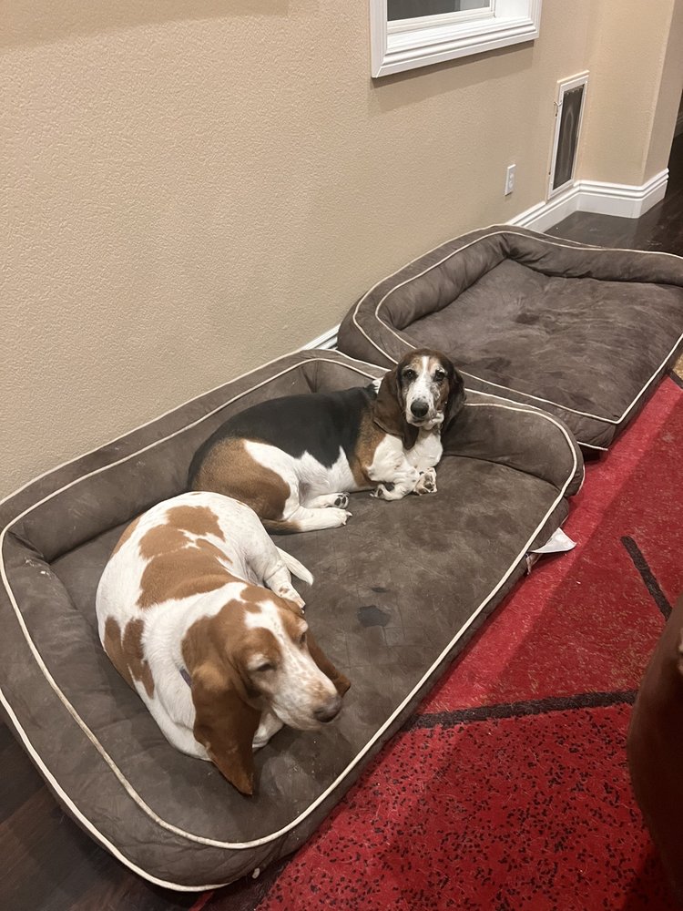 SOUTH VALLEY ANIMAL HOSPITAL 125 Photos & 310 Reviews 11940