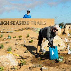 Harbaugh Seaside Trails - Volunteer helped plant native plant communities.