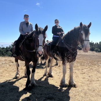 Covells Clydesdale Ranch - Picture stop on the trail. - Horseback Riding Near Me - Cambria, California