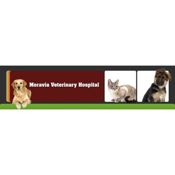 Moravia Veterinary Hospital - Moravia Veterinary Hospital - Veterinarians Near Me - Moravia, New York Moravia Veterinary Hospital - Moravia Veterinary Hospital - Veterinarians Near Me - Moravia, New York
