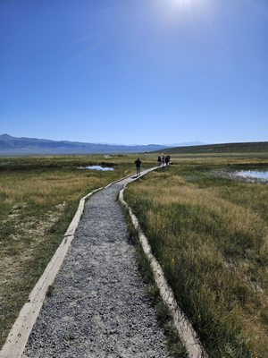 Wild Willy's Hot Spring by null