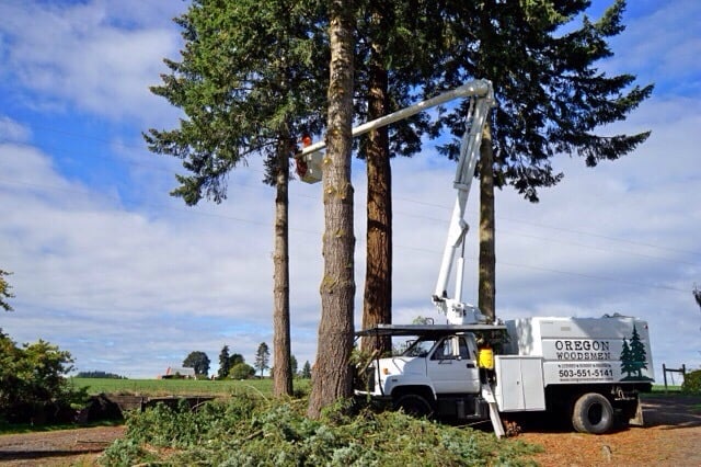 Oregon Woodsmen Tree Service - tree service in Rickreall, OR