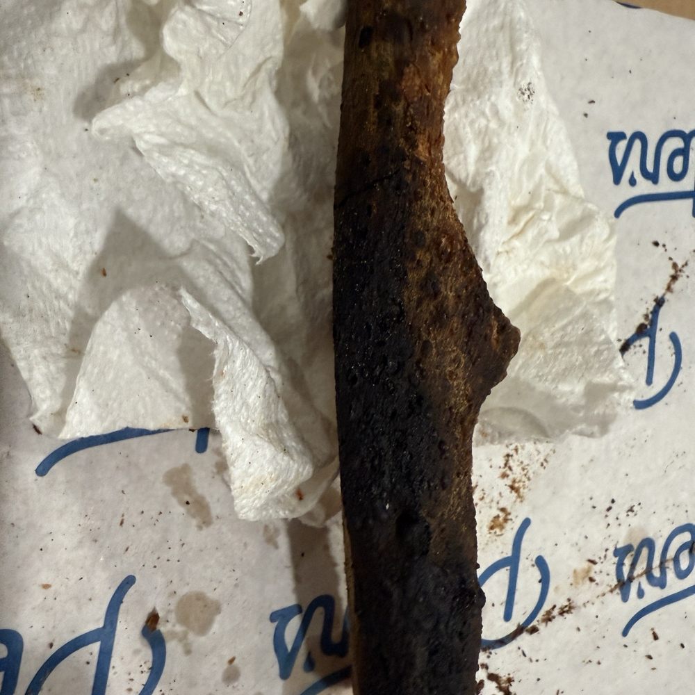 Peter’s Pizzeria - Burnt crust - Pizza Near Me - Pompano Beach, Florida Peter’s Pizzeria - Burnt crust - Pizza Near Me - Pompano Beach, Florida