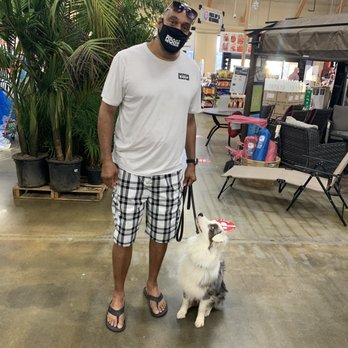 Smart Dogs Training Academy - Jeff training Bleu at Home Depot - Pet Training Near Me Smart Dogs Training Academy - Jeff training Bleu at Home Depot - Pet Training Near Me