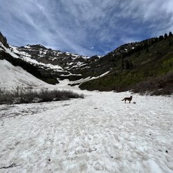 Stewart Falls Trailhead