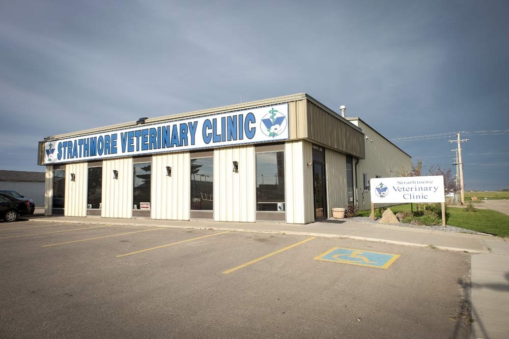 STRATHMORE VETERINARY CLINIC Updated September 2024 43 Spruce Lane