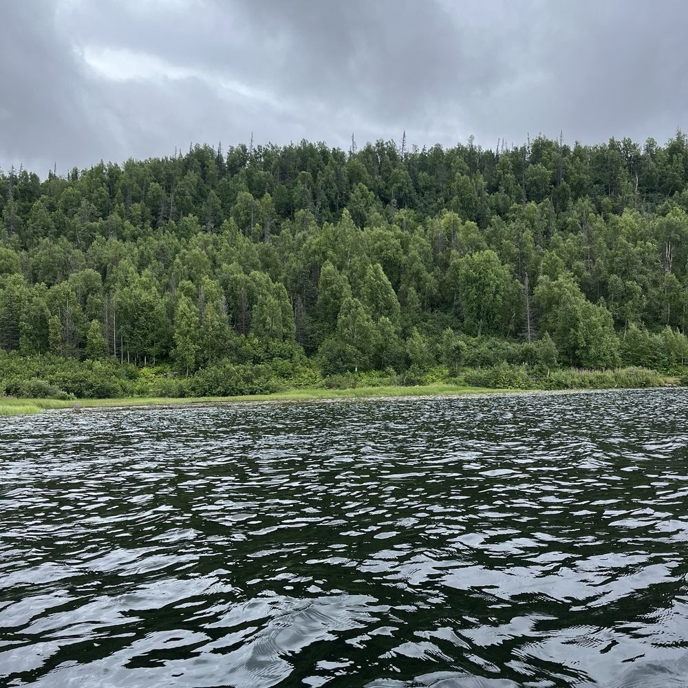 Denali Southside River Guides - Out on Byers lake - Tours Near Me