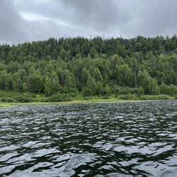 Denali Southside River Guides - Out on Byers lake
