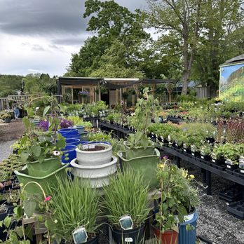 Mellie Mac's Garden Shack - Nurseries & Gardening Near Me - Black Mountain, North Carolina Mellie Mac's Garden Shack - Nurseries & Gardening Near Me - Black Mountain, North Carolina