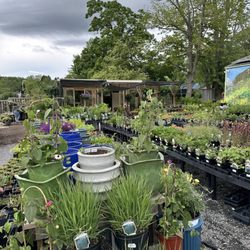 Mellie Mac's Garden Shack
