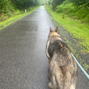 Tails on Trails - Large breeds welcome! - Dog Walkers Near Me - Severn, Maryland