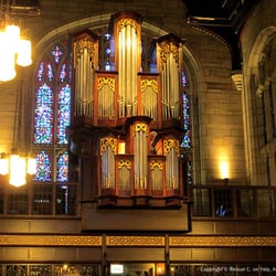 The Joseph Bond Chapel - The Reneker organ, originally commissioned for the Chicago Theological Seminary and reinstalled here in early 2013.