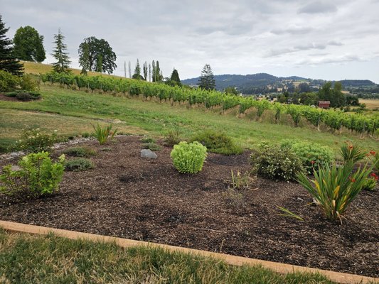 Domaine Divio by null