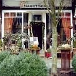 Nachtsegler