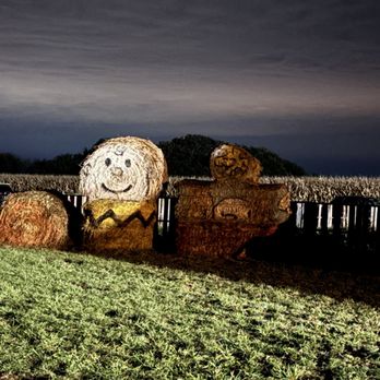Schuster's Farm - Pumpkin Patches Near Me - Deerfield, Wisconsin