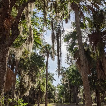 Tomoka State Park - Beautiful trees in the park - Parks Near Me - Ormond Beach, Florida