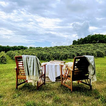 Vineyard View Winery - private Tastings - Wineries Near Me - Keuka Park, New York Vineyard View Winery - private Tastings - Wineries Near Me - Keuka Park, New York