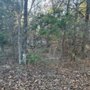 Photo of Lake Eufaula Land Services
