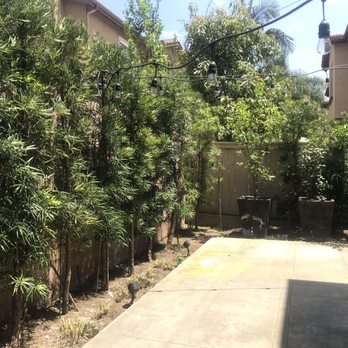 Superior Gardening - After - Gardeners Near Me Superior Gardening - After - Gardeners Near Me