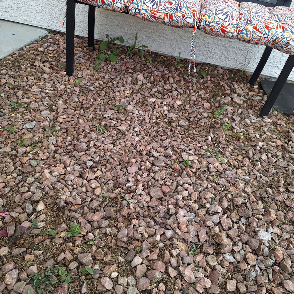 Dcancio Landscape - Didn't even attempt to get weeds under very light bench. - Landscape Architects or Designers Near Me - Manor, Texas