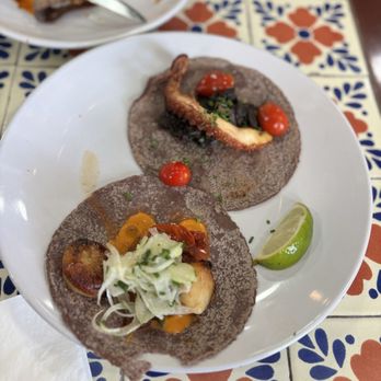 Holbox - Scallop Taco Taco De Pulpo En Su Tinta - Latin American Near Me - Los Angeles, California Holbox - Scallop Taco Taco De Pulpo En Su Tinta - Latin American Near Me - Los Angeles, California