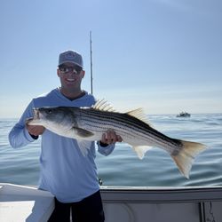 Shark Shark Tuna Fishing Charters - Beautiful striped bass