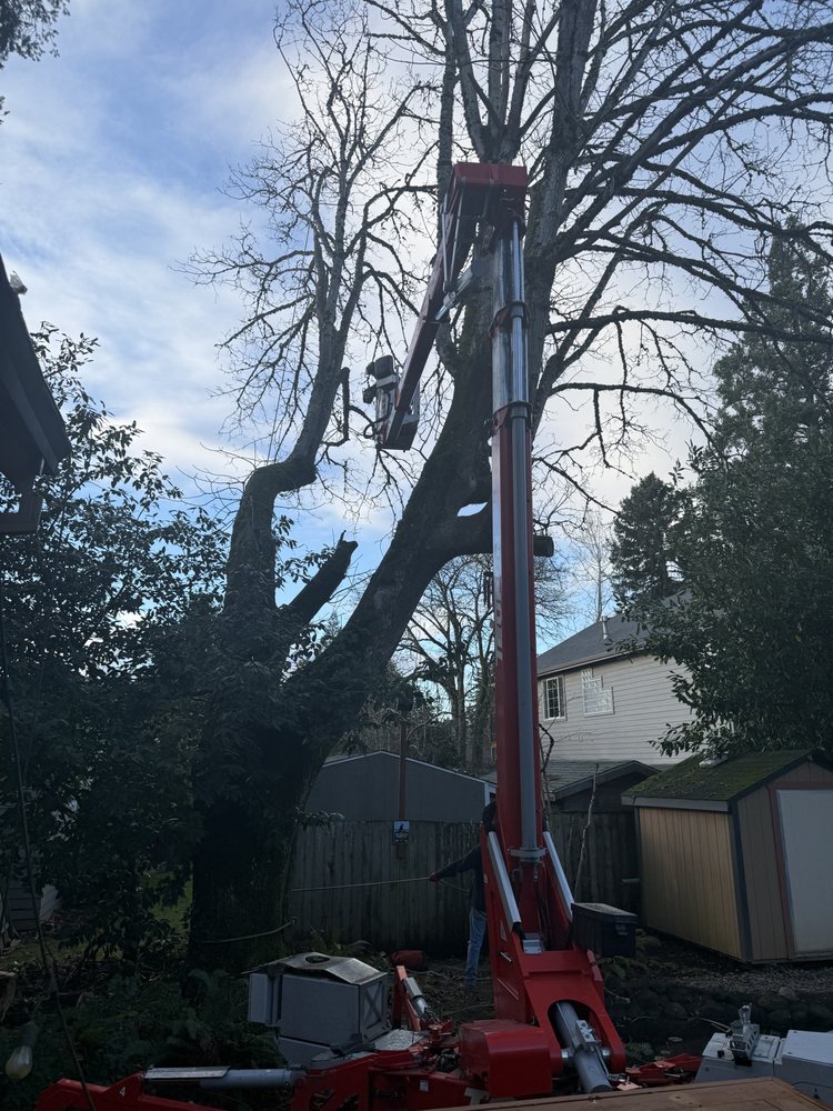 R & R Tree Service - tree service in Salem, OR