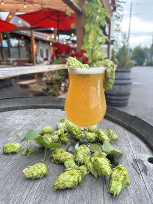 Old Market Pub & Brewery by null