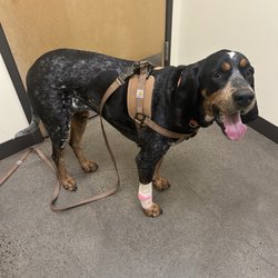 Sunnyside Veterinary Hospital