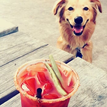 Yard Bar - YB Bloody Mary and my pup - Bars Near Me - Austin, Texas Yard Bar - YB Bloody Mary and my pup - Bars Near Me - Austin, Texas