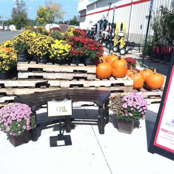 Tractor Supply - appealing display outside main door - Department Stores Near Me - Macedon, New York Tractor Supply - appealing display outside main door - Department Stores Near Me - Macedon, New York
