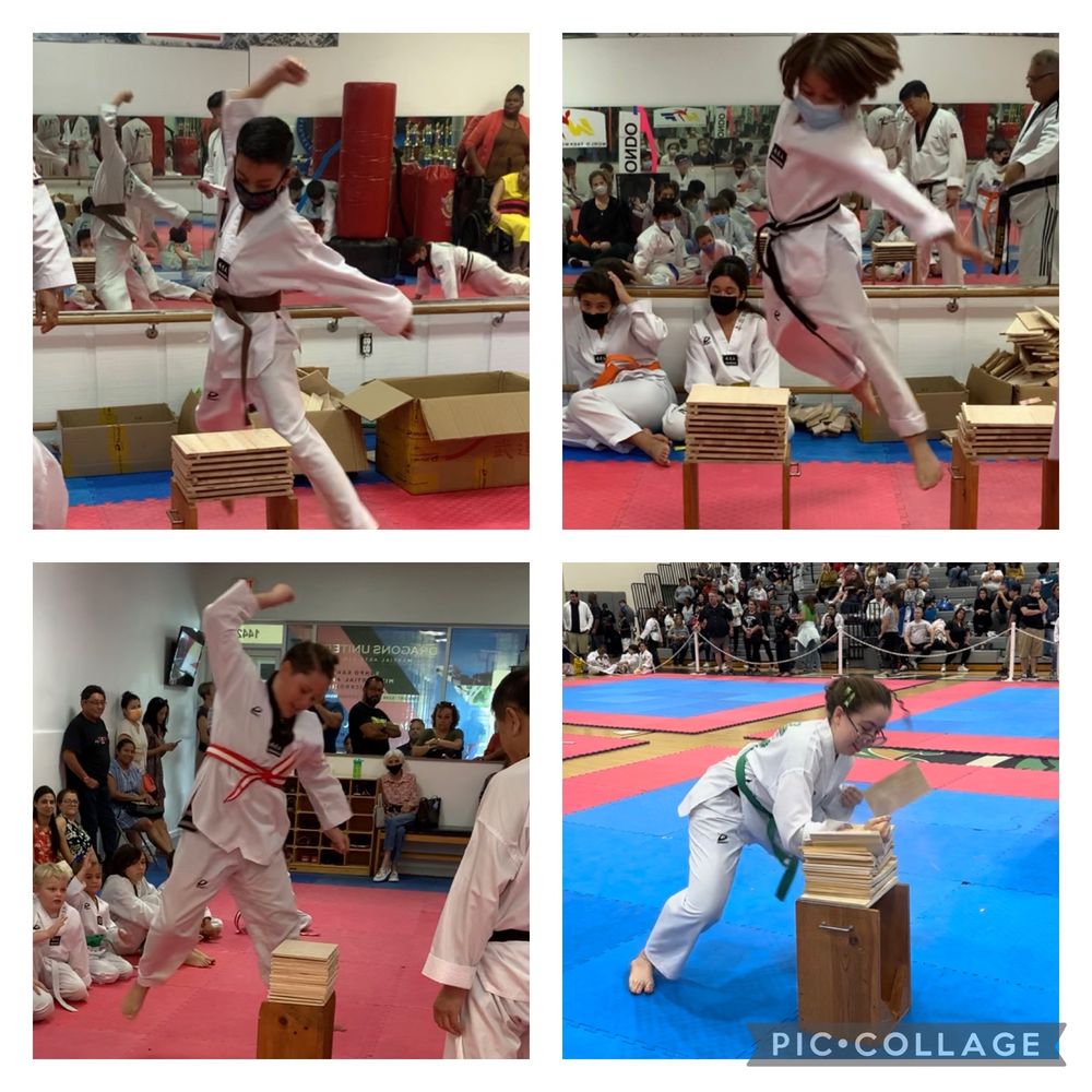 Nam's Tae Kwon Do Academy Logo