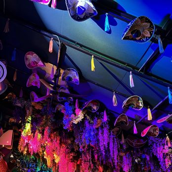 Little Tijuana - Decor - Lounges Near Me - Newark, New Jersey Little Tijuana - Decor - Lounges Near Me - Newark, New Jersey