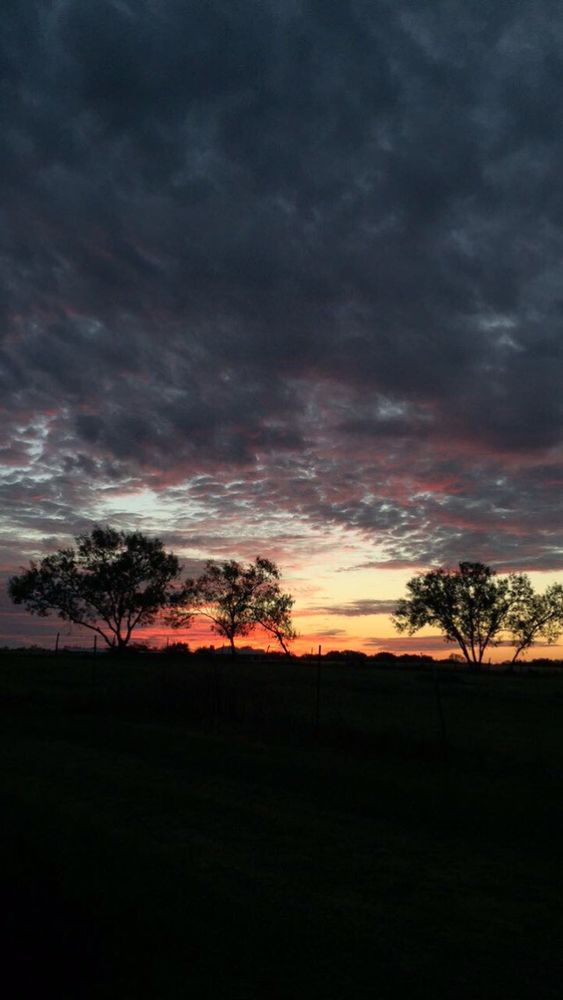 S&P RV PARK Updated July 2024 2335 Bluntzer Rd, Jourdanton, Texas