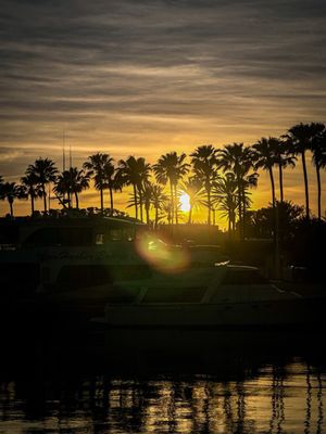 Gladstone's Long Beach by null