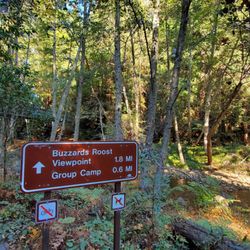 Buzzard's Roost Trail