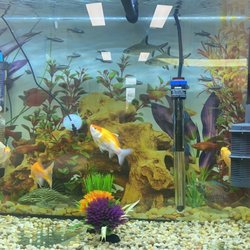Value Pet Center